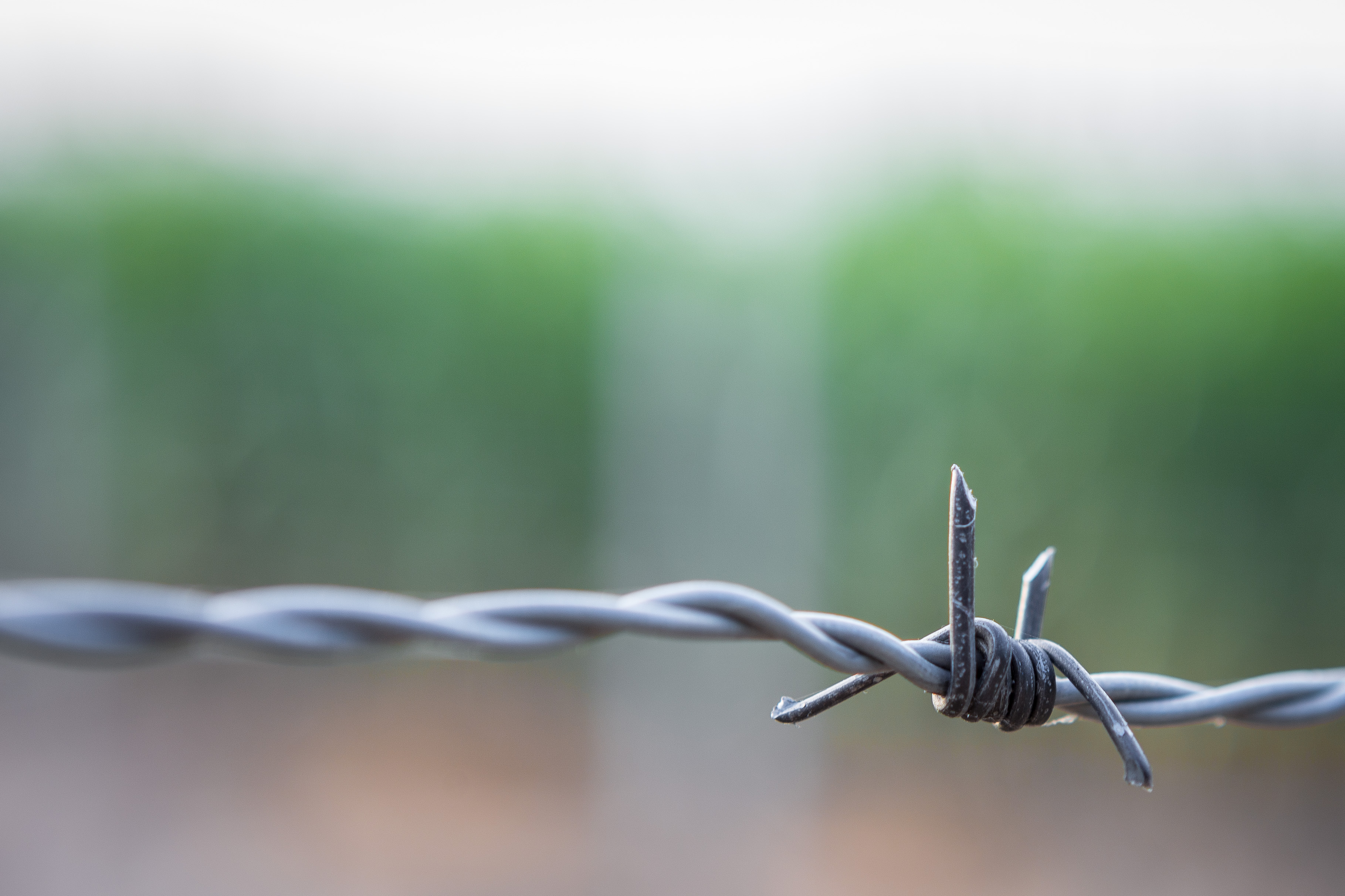 climate barbwire